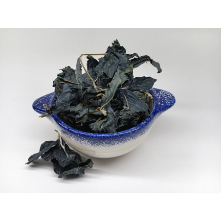 feuilles indigo séchées