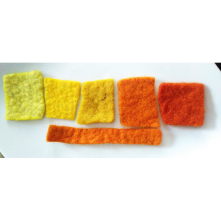 Kit Découverte nuancier feutre et couleurs végétales